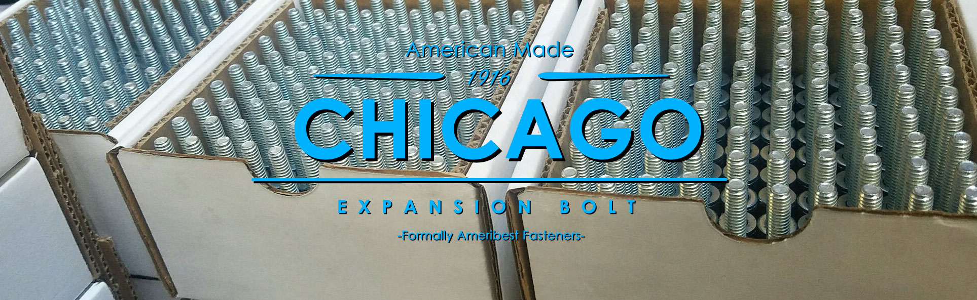 Chicago Expansion Bolt